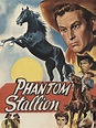 The Phantom Stallion Pictures - Rotten Tomatoes