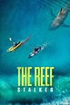 The Reef: Stalked (2022) - Posters — The Movie Database (TMDB)