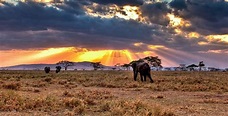 The Serengeti Plains | Serengeti national plains | Tanzania safaris tours