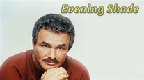 EVENING SHADE (1990-94 Burt Reynolds) 93 of 98 eps on 17 DVDs in 8.5 ...
