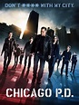 Reparto Chicago PD temporada 11 - SensaCine.com