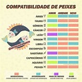 Signo de Peixes: descubra características e melhores combinações