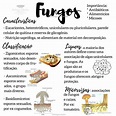 Reino Fungi | Fungos, Mapa mental, Mapa