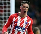 Biografi Fernando Torres – Pigura