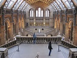 National History Museum, London | Places to visit, Places to go ...