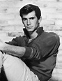 Anthony Perkins. Just look at him!!! Old Movie Stars, Classic Movie ...