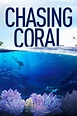Chasing Coral: Where To Watch It Streaming Online | Reelgood