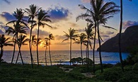 45 interessante Fakten über Hawaii