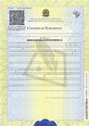 Certidão de Nascimento no Documento - Documento no Brasil
