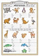 Animal Worksheet For Kids