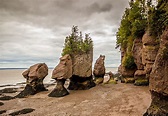 What and Where Are The Hopewell Rocks? - WorldAtlas