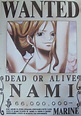 One Piece - Wanted Poster - Nami (New World) - Walmart.com