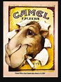 Camiseta « Camel-filtros-cigarrillos» de YanethMora | Redbubble