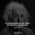 115 Frases de Albert Einstein sobre la vida, educación y el éxito