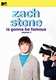 Zach Stone Is Gonna Be Famous (TV Series 2013) - IMDb
