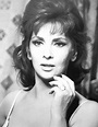 Gina Lollobrigida | Gina lollobrigida, Hollywood, Italian actress