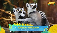 Descarga Vector De Programa De Televisión Animal Show Siguiente