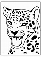 Dibujos de jaguares para colorear, descargar e imprimir | Colorear imágenes