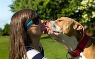 Free Images : girl, woman, puppy, love, pet, kiss, two, family, tongue ...