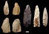 New research suggests projectile weapons were used regularly during the ...