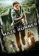 The Maze Runner (2014) - Posters — The Movie Database (TMDb)