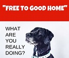 ANIMALS 101 – “ FREE TO GOOD HOME ” ANIMAL ADS ARE FUELLING THE MASSIVE ...