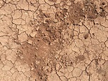 Brown/red dirt with layers of cracks | Free Textures