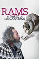 Rams (El valle de los carneros) (película 2015) - Tráiler. resumen ...