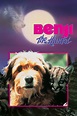 Benji the Hunted (1987) - Posters — The Movie Database (TMDB)
