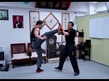 Wing Chun Sharings - Sifu Donald Mak 麥廣權師傅：詠春應用分享 - YouTube