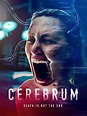 Cerebrum (2022) - FilmAffinity