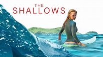 The Shallows (2016) - Backdrops — The Movie Database (TMDb)