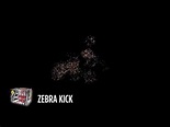 World Class Fireworks | Zebra Kick [200G/24 SHOTS] - YouTube