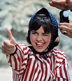 Pin on Sally field gidget