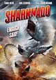 Cinema muito trash: "Sharknado" é um filme que mostra um tornado de ...