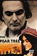 ‎The Pear Tree (1998) directed by Dariush Mehrjui • Reviews, film ...