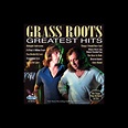 ‎The Grass Roots: Greatest Hits (Re-Recorded Version) - Album by The ...