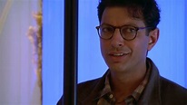 Independence day - Jeff Goldblum Wallpaper (14869486) - Fanpop