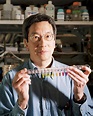 Roger Y. Tsien, Nobel Winner for Use of Glowing Proteins, Dies at 64 ...