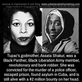 Tupac’s godmother, Assata Shakur, was a Black Panther, Black Liberation ...