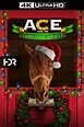 Ace & the Christmas Miracle (2021) - Posters — The Movie Database (TMDB)