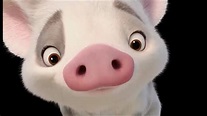 MOANA - Say Hello to Pua! (2016) Disney Animated Movie HD - YouTube