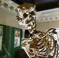 The real skeleton of Joseph Merrick aka The Elephant Man. Photo by ...