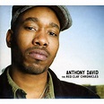 Anthony David - Red Clay Chronicles - CD - Walmart.com