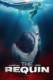 The Requin: Der Hai (2022) Film-information und Trailer | KinoCheck