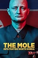 The Mole: Undercover in North Korea (2020) — The Movie Database (TMDB)