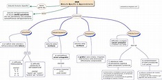 Mappa DSA. | Dislessia Discalculia disturbi specifici apprendimento ...