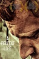 A Perfect Life (2011) - Rotten Tomatoes