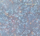 Apropos Cluster, Cluster | CD (album) | Muziek | bol.com
