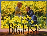 Picture of Big Fish (2003)